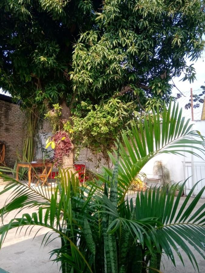 Remember Py Otel Luque Dış mekan fotoğraf